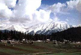 azaaz
